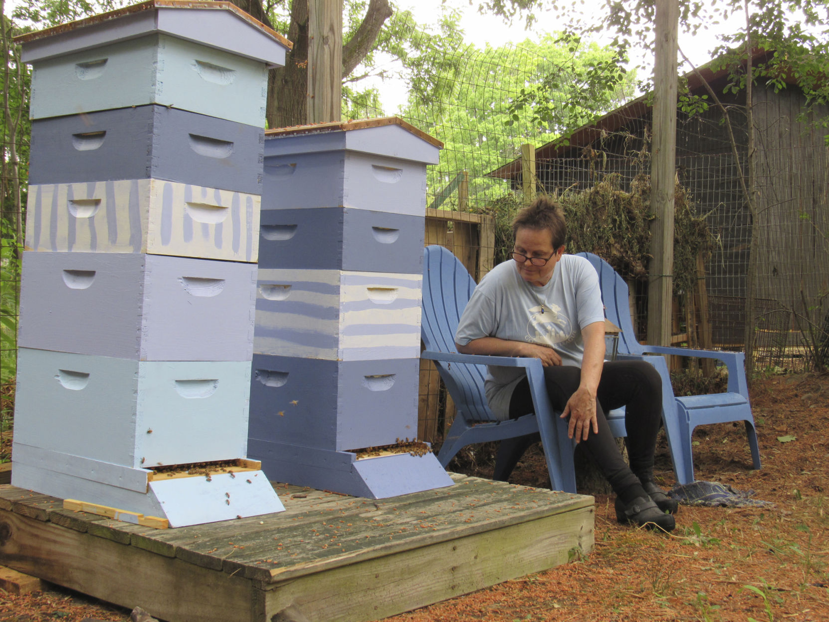 Jane-Marie Law with her hives